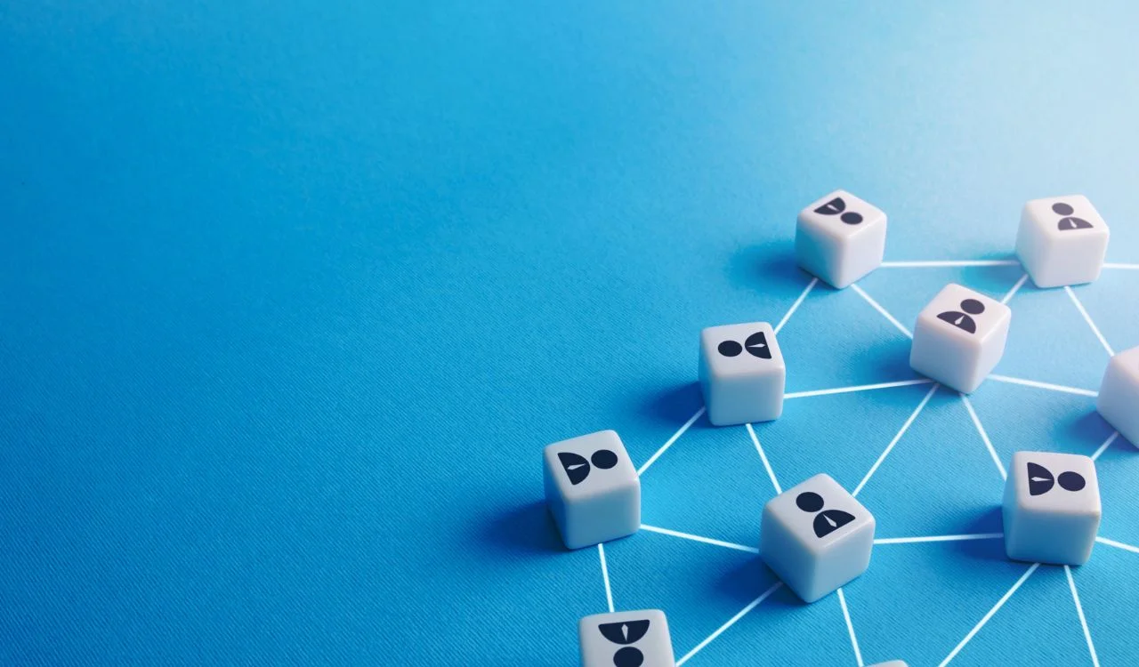 Build Links and Authority