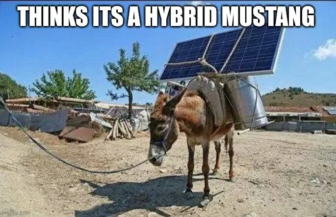 4. THINKING HE WOULD ALSO BE CHARGED WITH SOLAR POWER